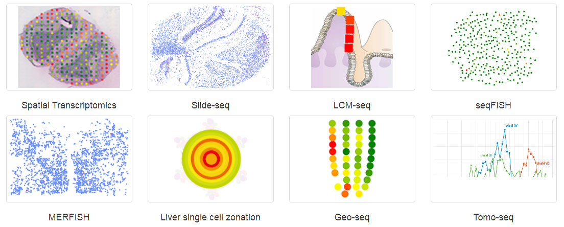 常见空间转录组技术方法