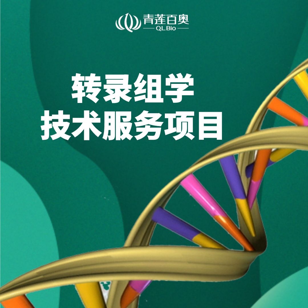 10x genomics 单细胞转录组测序