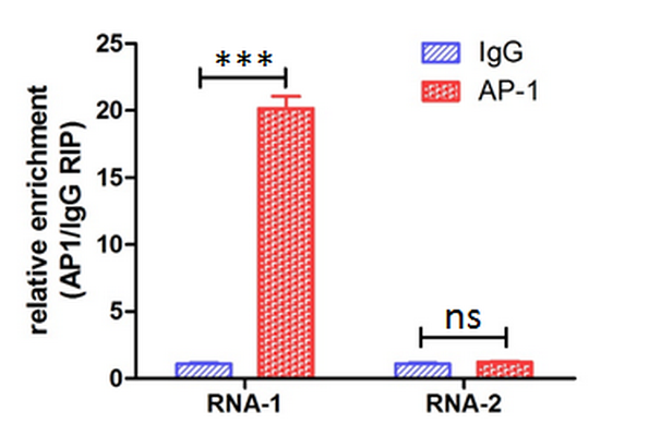 lncrna功能机制研究| lncrna功能预测| lncrna功能研究整体凯发k8国际首页的解决方案| 长链非编码rna（mirna、lncrna、trfs）研究方案