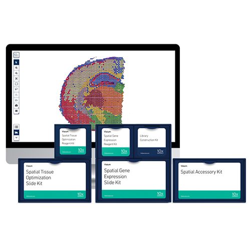 10x genomics visium空间基因表达凯发k8国际首页的解决方案