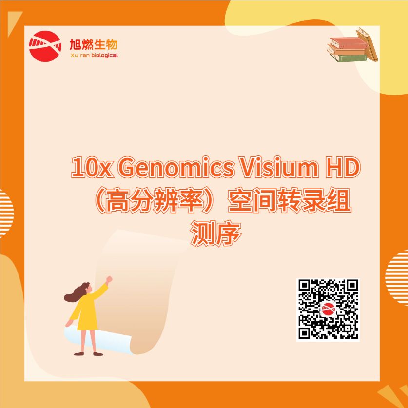 10x genomics visium hd（高分辨率）空间转录组测序